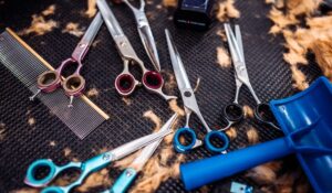 In-Home Senior Hairdresser Dallas