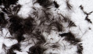 Dallas Senior Hairstyling Services